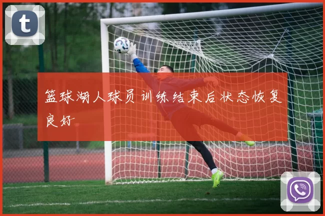 篮球湖人球员训练结束后状态恢复良好